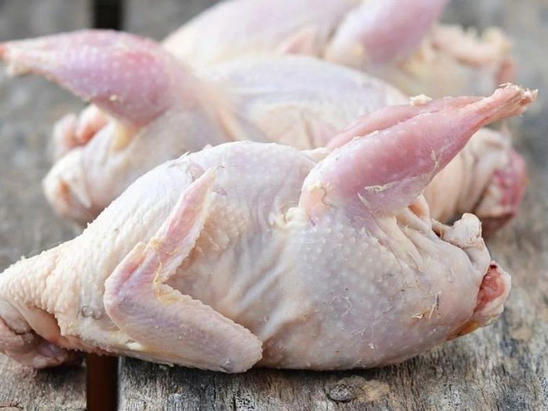 Quail, meat and skin