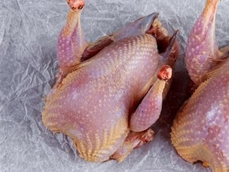 Squab, meat and skin