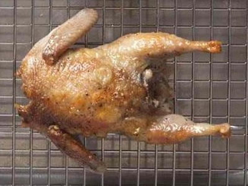 Quail