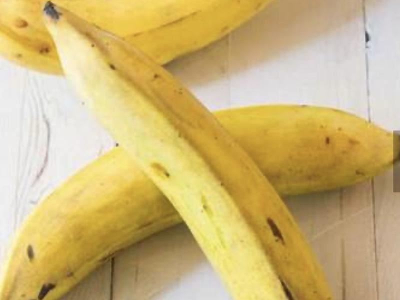 Yellow Plantains