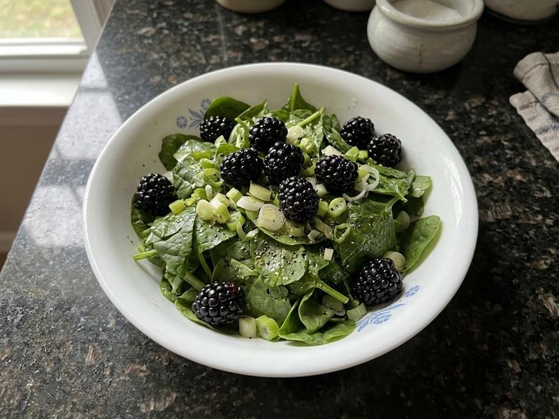 Spinach Salad with Blackberries
