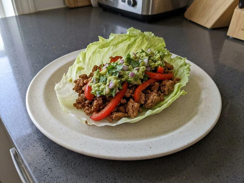Grain Free Turkey Burrito