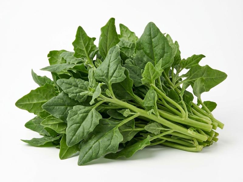 New Zealand spinach