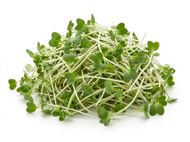 Radish sprouts