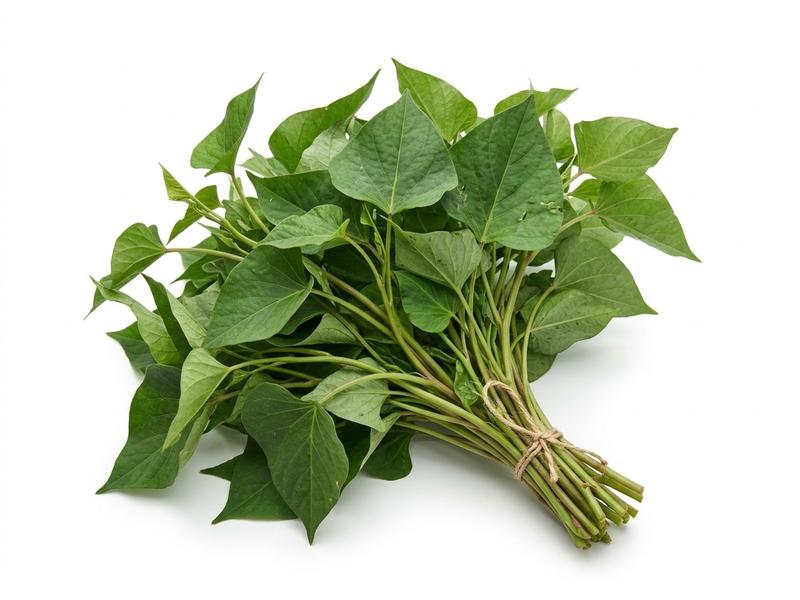 Sweet potato leaves