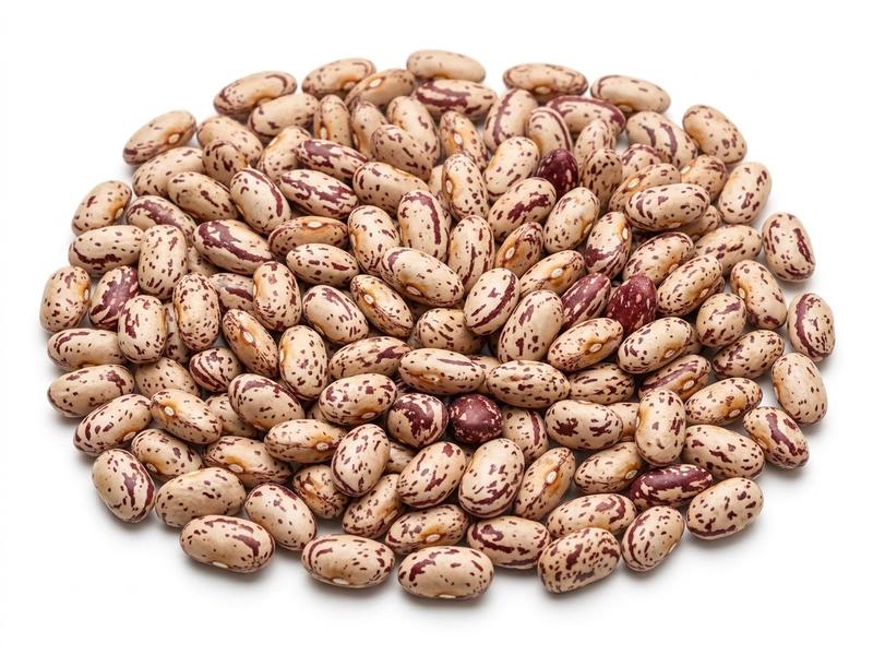 Cranberry beans
