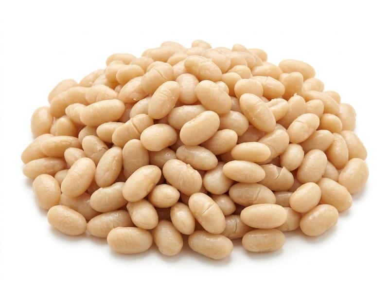 Navy beans