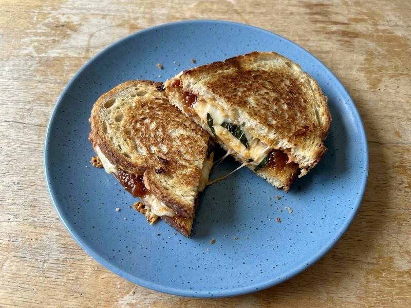 Tomato Jam and Mozzarella Panini