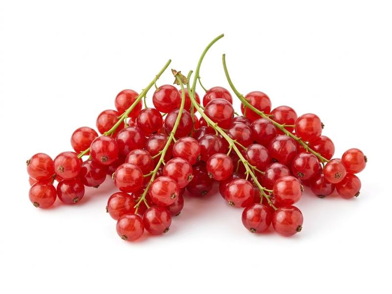 Red currants