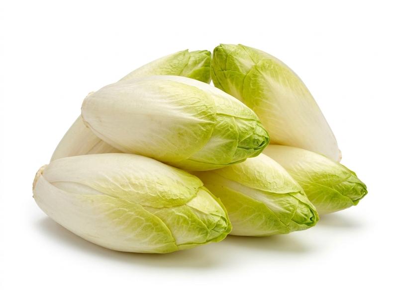 Belgian endive