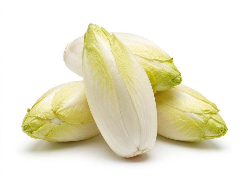 Endive