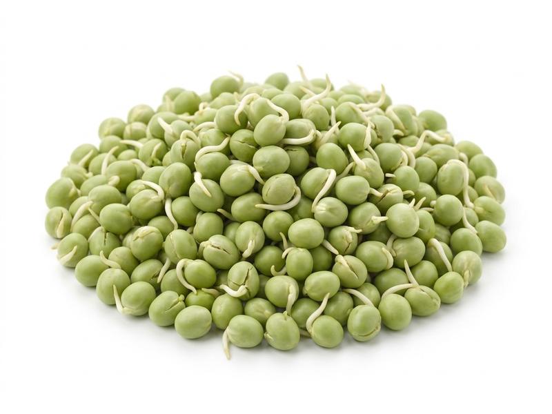 Sprouted peas
