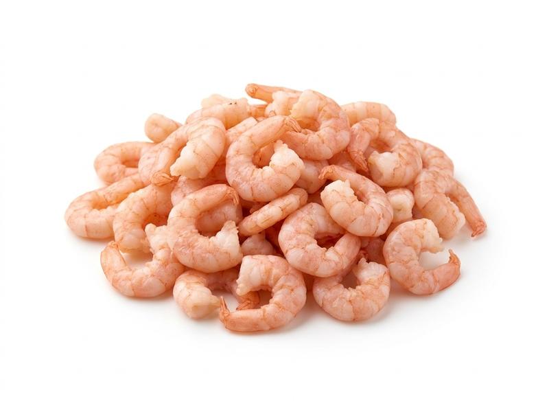 Shrimp