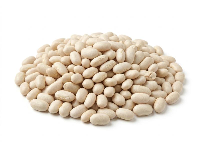 Small white beans