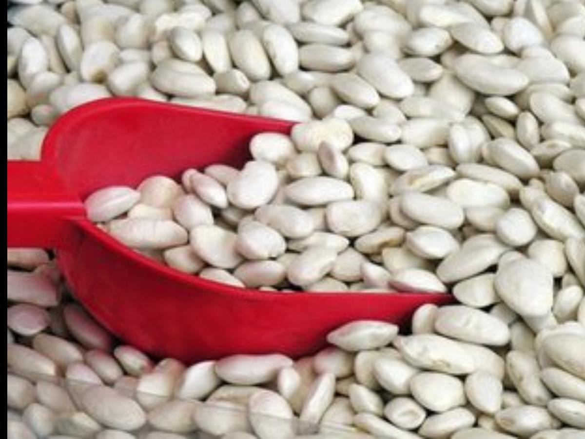 Great Northern Beans Nutrition Facts Eat This Much