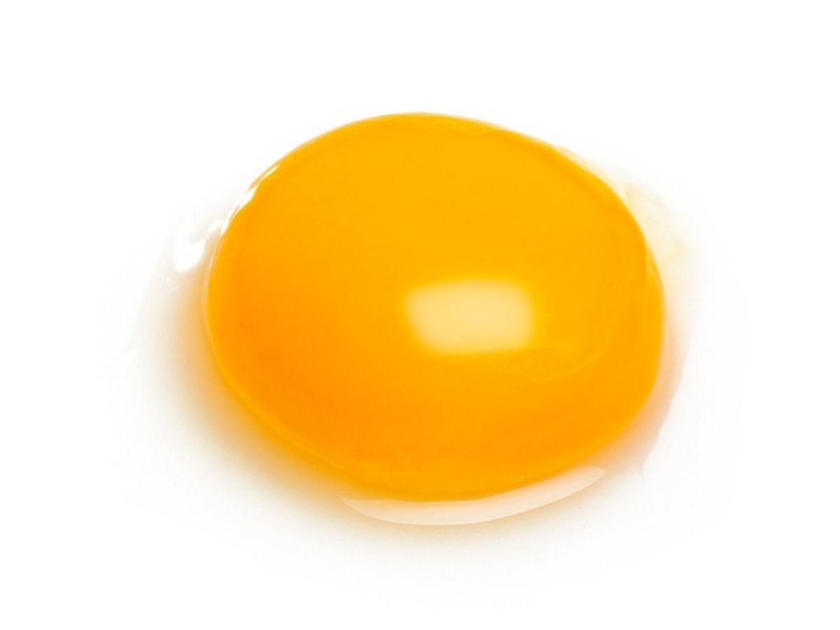 Egg Yolks Fat 35