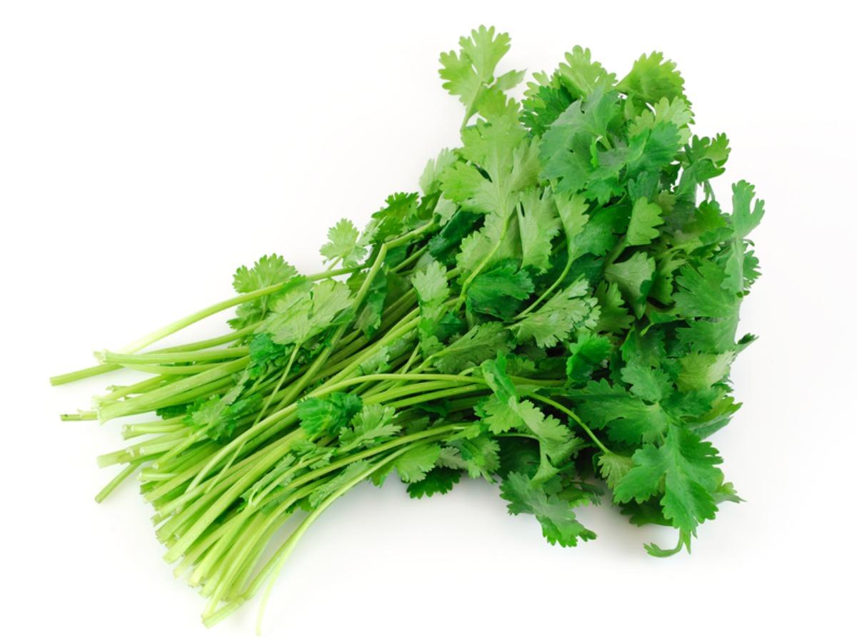 Cilantro Nutrition Facts Eat This Much