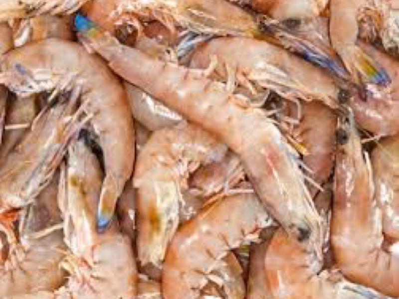 King Prawns Nutrition Facts Eat This Much