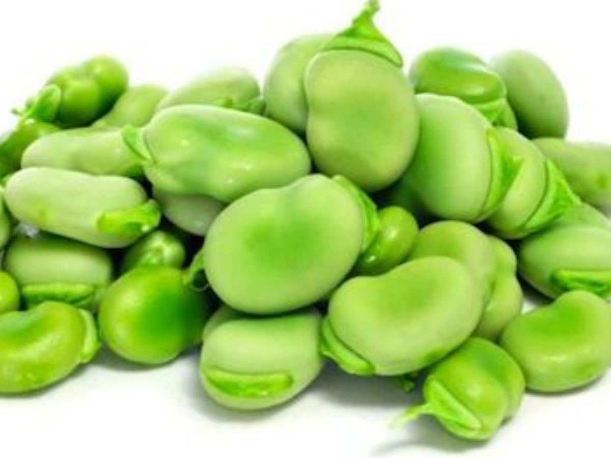 Fava Beans Cooked Nutrition Facts