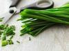 Chives